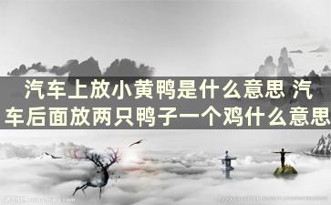 汽车上放小黄鸭是什么意思 汽车后面放两只鸭子一个鸡什么意思